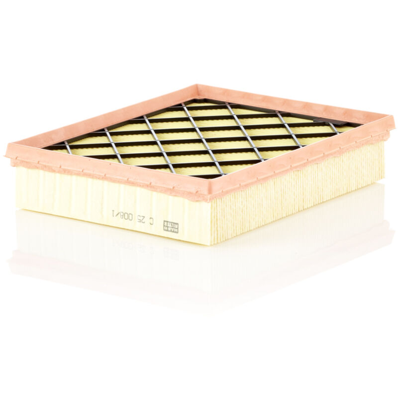 Filtro De Aire C250081 Mann