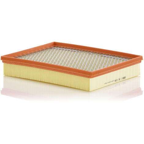 Filtro de aire C30039 Mann
