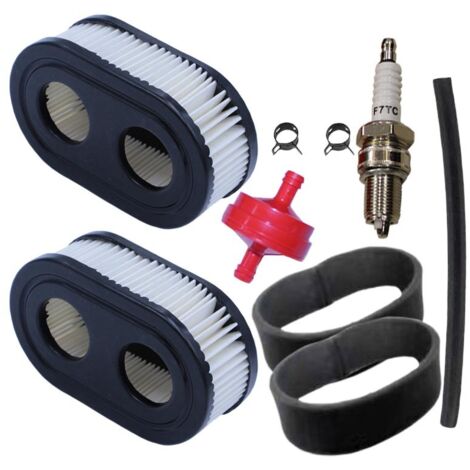 Filtro de aire para cortacésped. Aplicable a motores Briggs & Stratton 593260, 798339, 798452, 550, 09PEX093J02702.