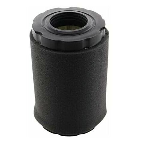 Filtro de aire YMYNY con cubierta de filtro de aire para motores Briggs & Stratton 550E, 575EX, 575IS, 625EXI, 650EXI, 675EXI, reemplaza los números de pieza 594106, 798339, 798452, 593260, 093000.