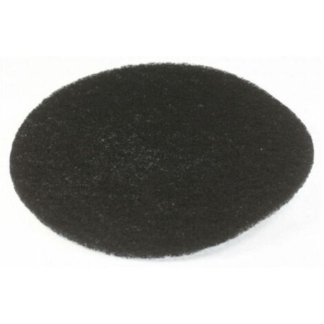 Filtro de carbón 5512500259 DELONGHI