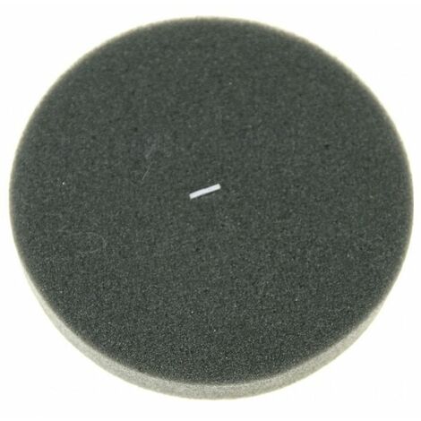 Filtro de espuma RS-RT900606 ROWENTA