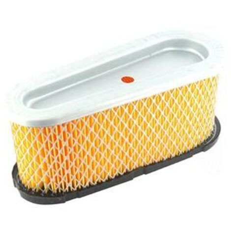 Filtro dell'aria Briggs & Stratton (496894, 493909)