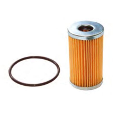 Filtro gasolio motore Ruggerini MC70, MC71, BRIO compatibile