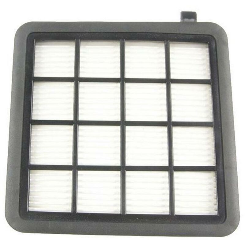 Image of Filtro Hepa - Aspirapolvere - electrolux - 2544083662734981863