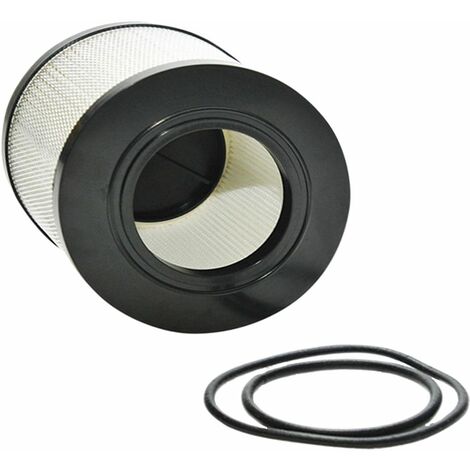 Vhbw Filtro HEPA di Ricambio compatibile con Nilfisk King, Nilfisk Compact  aspirapolvere - Filtro HEPA anallergico