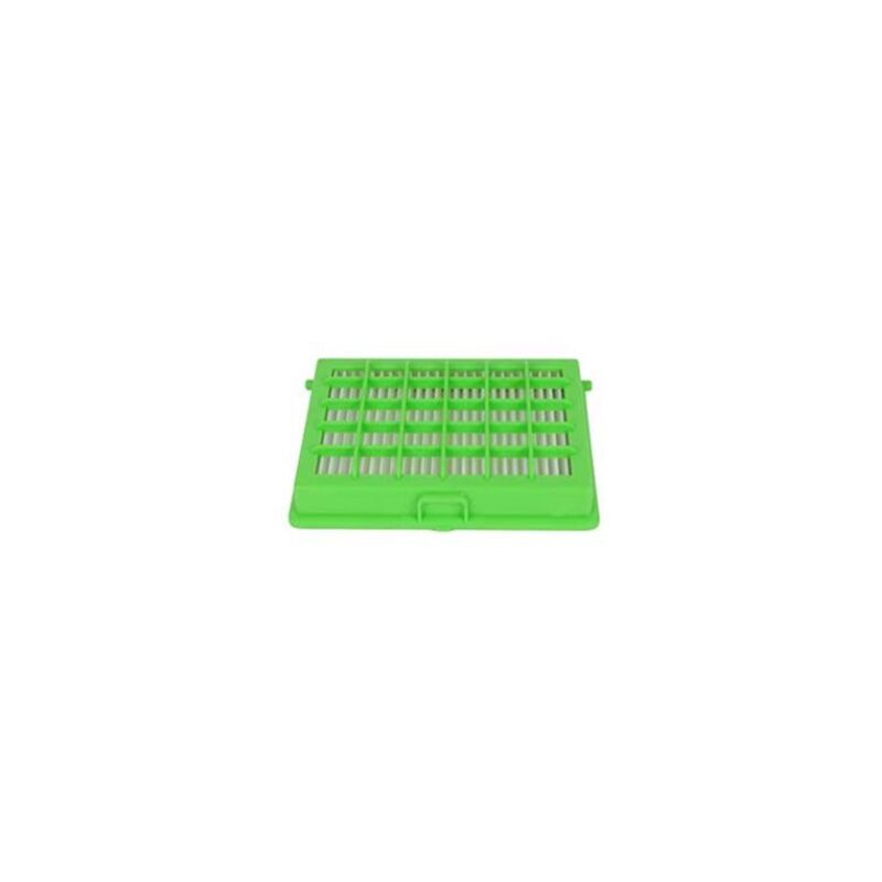 Filtro Hepa - Aspirapolvere Rowenta 3284873662894855035