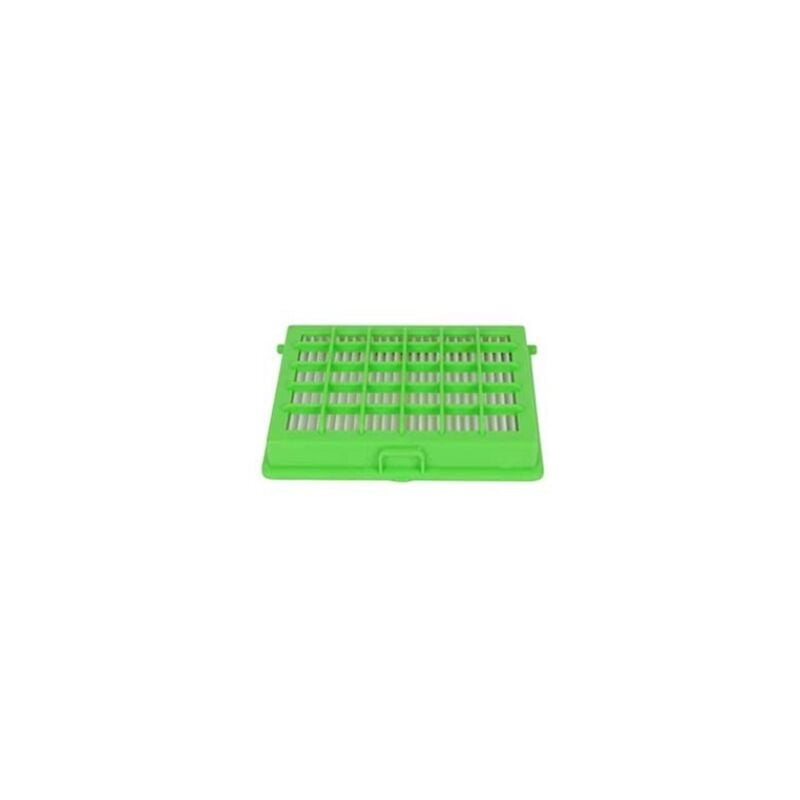 Filtro Hepa - Aspirapolvere Rowenta 3284873662894855035