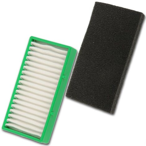 Filtro HEPA con filtro de espuma EXTREM AIR MOTION ZR702001 ROWENTA