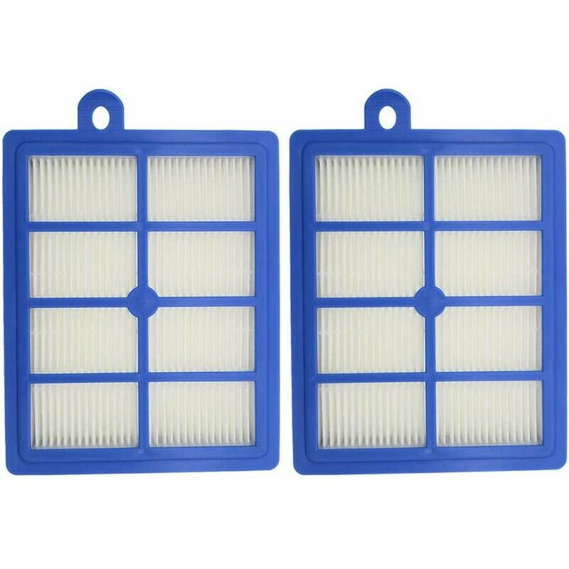 Filtro HEPA da 2 pezzi per Electrolux H12 EL4100