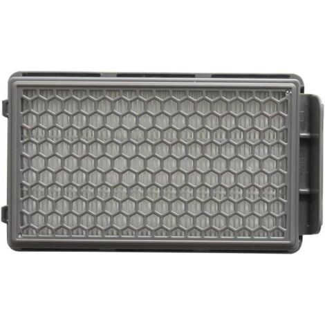 Filtro HEPA de repuesto para aspiradoras Compact Power – Compatible con los modelos RO3715, RO3759, RO3798, RO3799, RO3718, RO2957 – 1 unidad