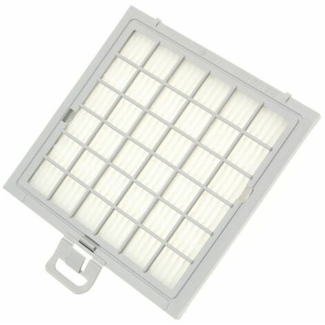 Filtro Hepa originale - Aspirapolvere - BOSCH - 2964433662734368541