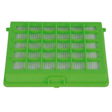 Filtro hepa ZR004501 MOULINEX