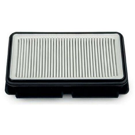 Filtro HEPA ZR902501 ROWENTA