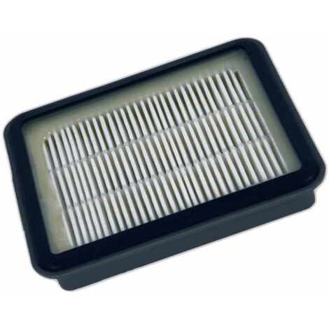 Filtro Hepa ZR904501 ROWENTA