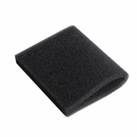 Filtro motore - Aspirapolvere - KÄRCHER - 2980693662734086155