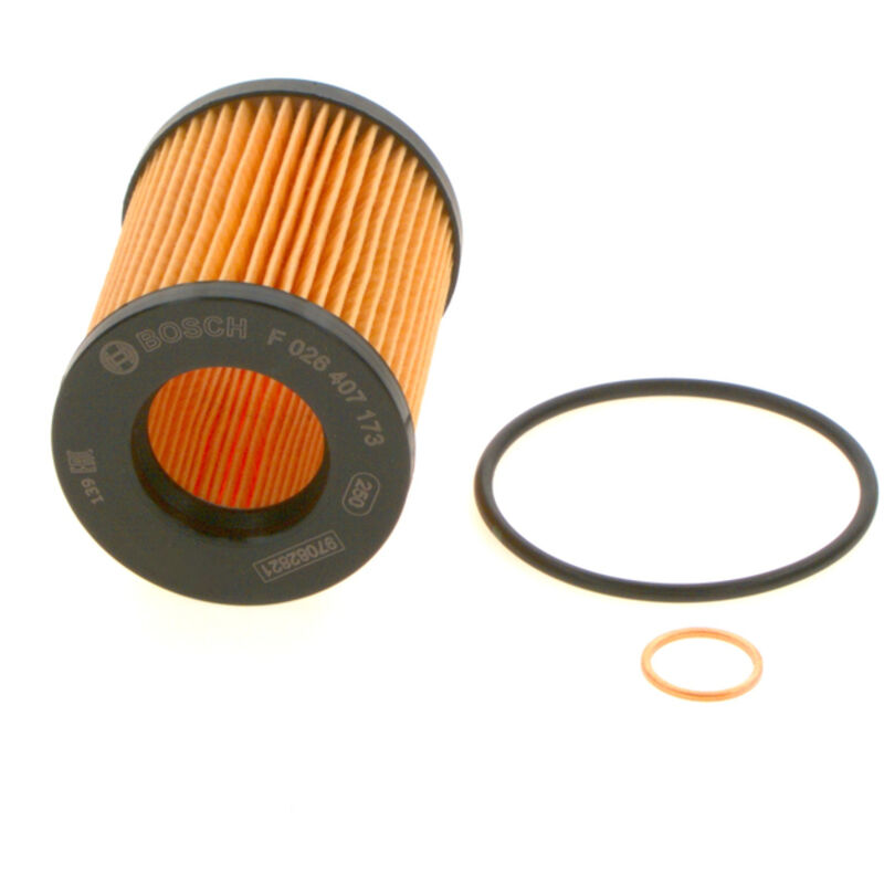 Filtro Olio Bosch Bmw 1.6b 2011-