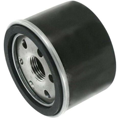 Filtro olio Briggs &ampamp Stratton Vanguard, Intek. Kawasaki FR651, FR691