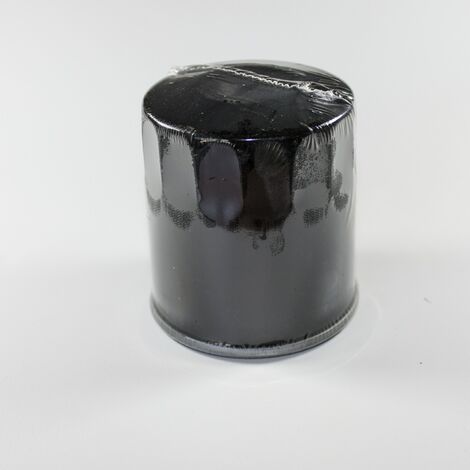 Filtro olio Brigs&ampStratton Vanguard 12,5 - 18 HP per trattorini - 006796