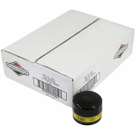 Filtro olio Confezione 12 filtri olio 492932 BRIGGS &amp STRATTON