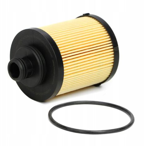 Filtro olio FIAT GRANDE PUNTO 199 1.3 JTD Multijet