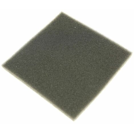 Filtro originale - Aspirapolvere - ELECTROLUX - 4355088