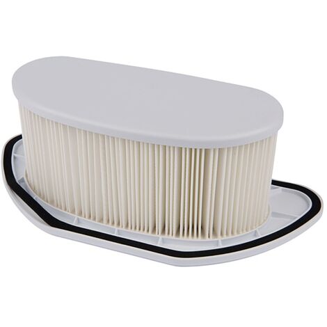 FILTRO PER BIDONE ASPIRAPOLVERE per modello VC3211H