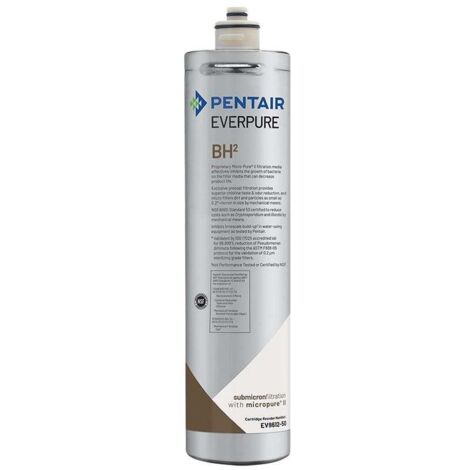 Filtro per l'acqua Everpure BH² EV9612-51