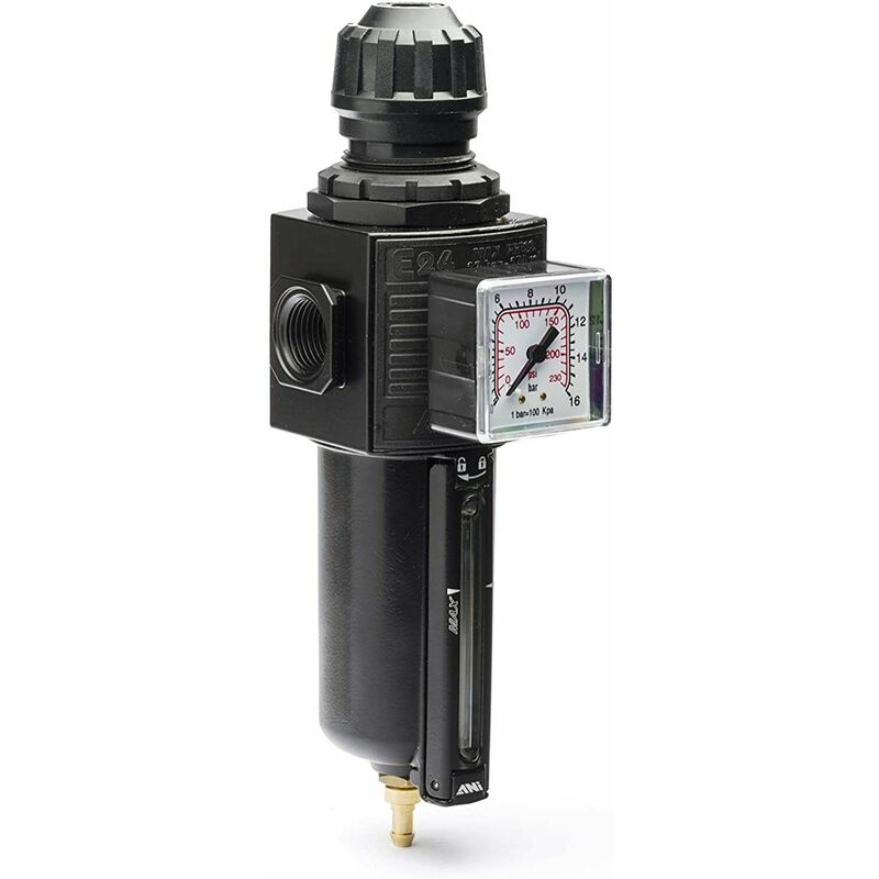 Image of ANI - Filtro regolatore di pressione modulare con protezione compressore e/24/2/p