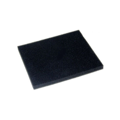 Filtro spugna - Aspirapolvere - PHILIPS - 317963
