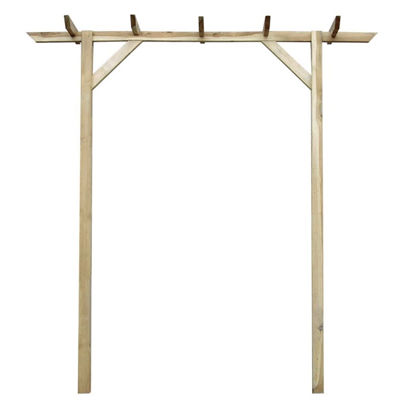 Pergola de jardin 200 x 40 x 205 cm Bois - Fimei
