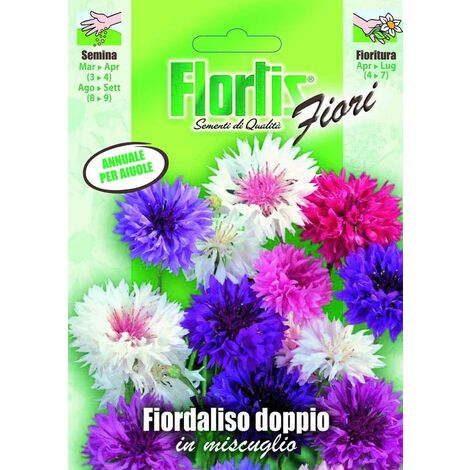 Semi - Centaurea o Fiordaliso Doppio in Mix