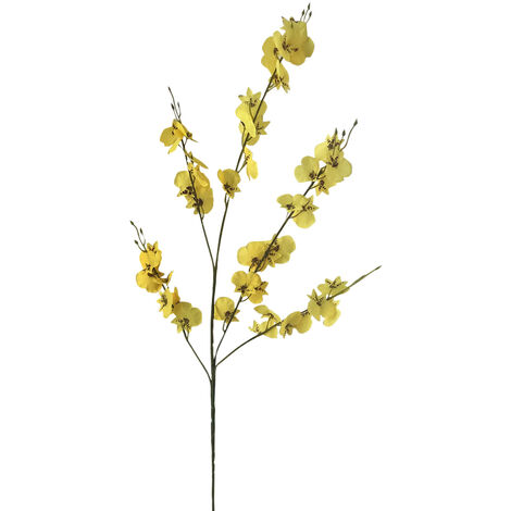 Fiore Giallo Simile All Orchidea - Conosciamo Le Orchidee Le Piu Diffuse In Commercio : I petali ...