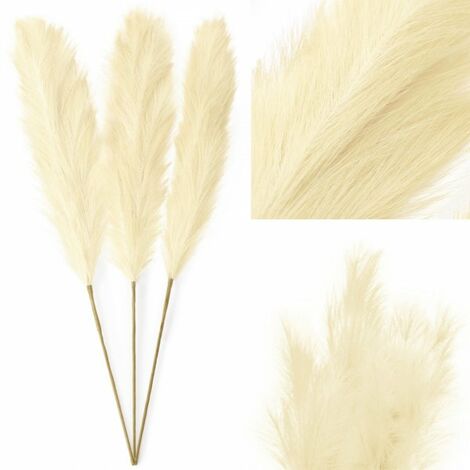 FANNAS 5 Pezzi Erba Della Pampas,Pampas Decorative Piume