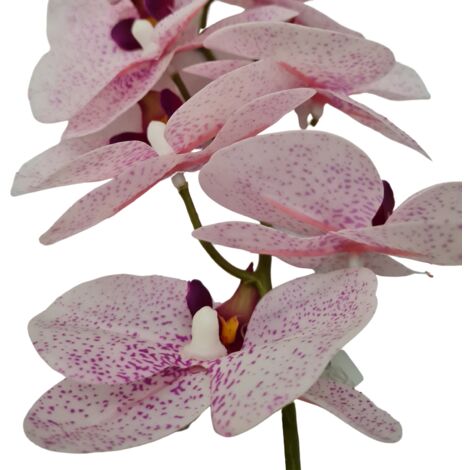 Fiore artificiale ramo decorativo di Orchidea Phal Real bianco/fucsia da 50 cm