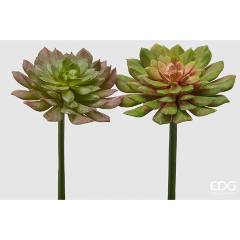FIORE ARTIFICIALE SUCCULENTA ECHEVERIA H20CM COLORI ASSORTITI VERDE E ROSA