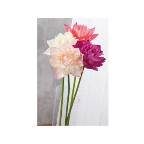 FIORE DI LOTO ASS4COL CM 84