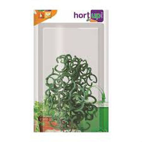 Fiore hort raro per piante e pacchetto entutorodo 50 uds
