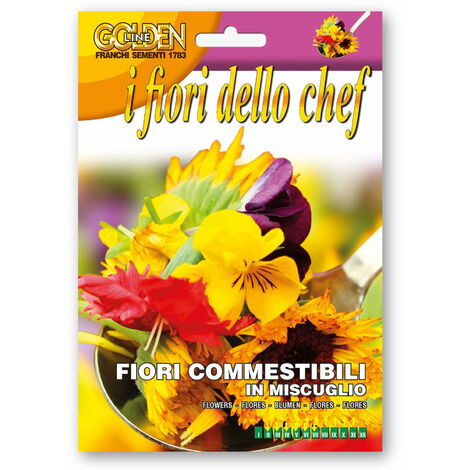 Fiori commestibili secchi di verbena blu 