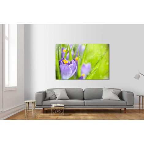 Fiori della Sorgente del Croco - Quadro Canvas su telaio in legno - Misura: 140x100 cm