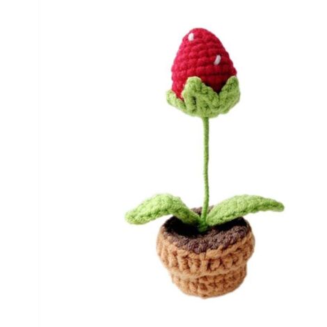 Fiori lavorati a mano in un vaso all'uncinetto