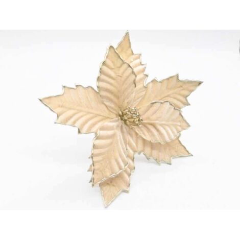 Fiori per albero di Natale - Stella di Natale Champagne Stella di Betlemme su spiga H 28 cm Fi 20 cm