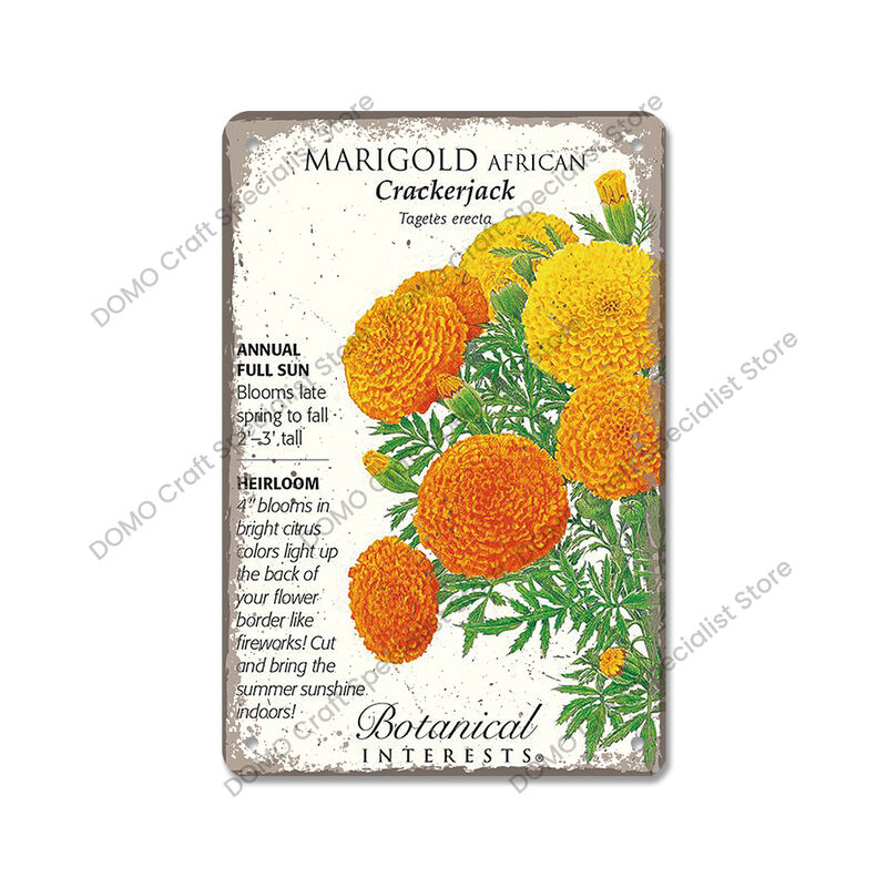 Fiori Poster segni di latta Vintage targa in