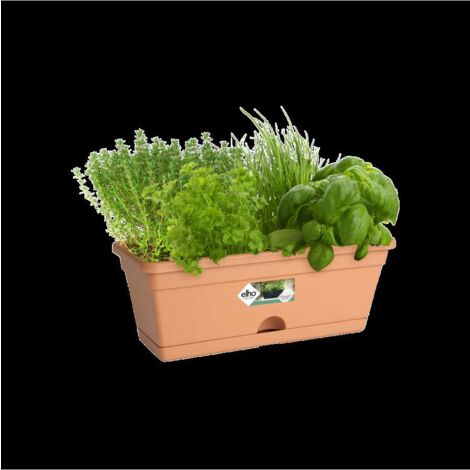 Fioriera basics trough mini 30cm Terra