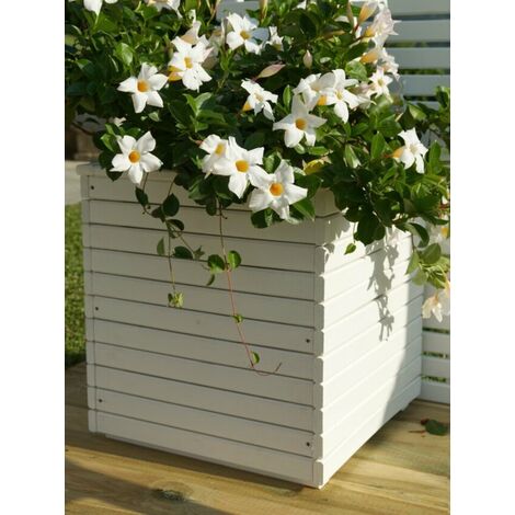 FIORIERA CAMELIA LACCATA BIANCO 50X50X50H