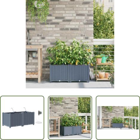 Fioriera con irrigazione -  Vaso da giardino 2 pcs Grigio Chiaro Acciaio