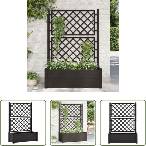 Fioriera con traliccio -  Fioriera da Giardino con Graticcio 100x43x142 cm PP Antracite