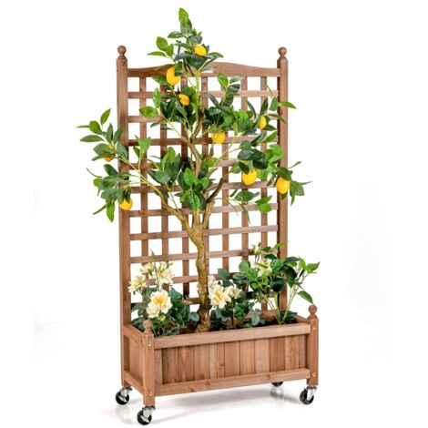Fioriera con traliccio in legno di abete, fioriera con ruote bloccabili e Foro di drenaggio per piante rampicanti, viti, fiori, 64 x 28 x 127 cm