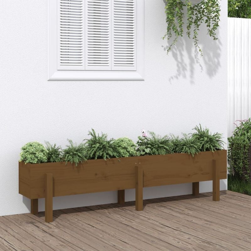 Fioriera Rialzata da Giardino, Flowerpot Miele 160x30x38 cm Massello Pino vidaXL