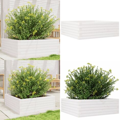 Fioriera da Giardino Bianca 70x70x23 cm Legno Massello di Pino - Fioriera in legno - Fioriera da giardino in legno